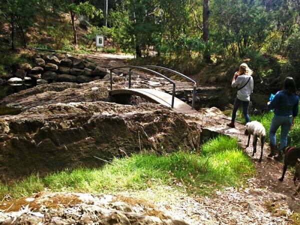Darebin Parklands Darebin Parklands