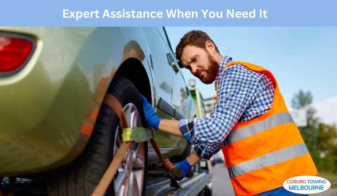 Expert Assistance When You Need It